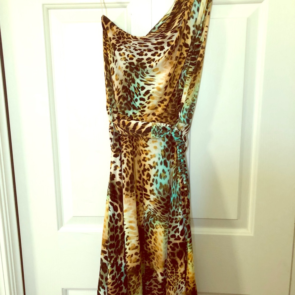 Boston Proper NWOT Leopard Print Dress size 2
